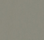 rapport