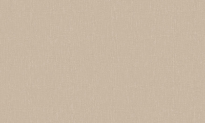 rapport