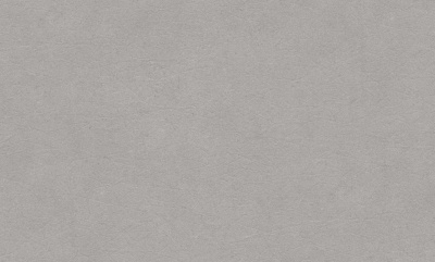 rapport